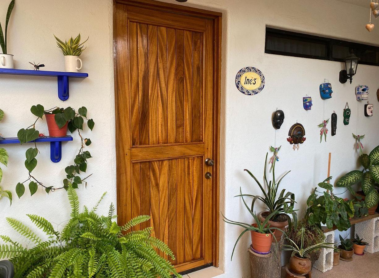 Zandoyo Bed & Breakfast ปูแอร์โตเอสกอนดิโด ภายนอก รูปภาพ